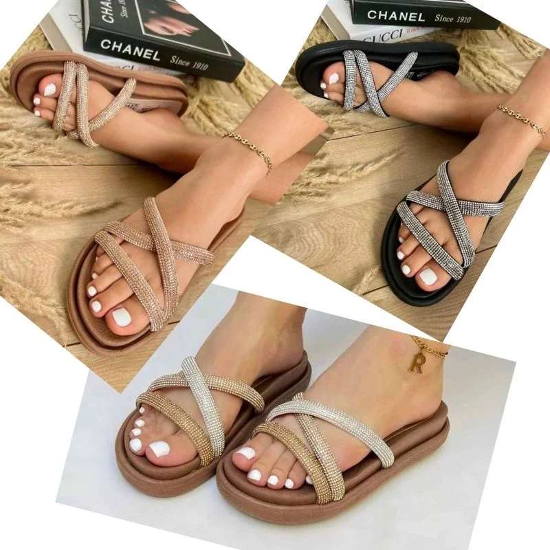 Ref 005