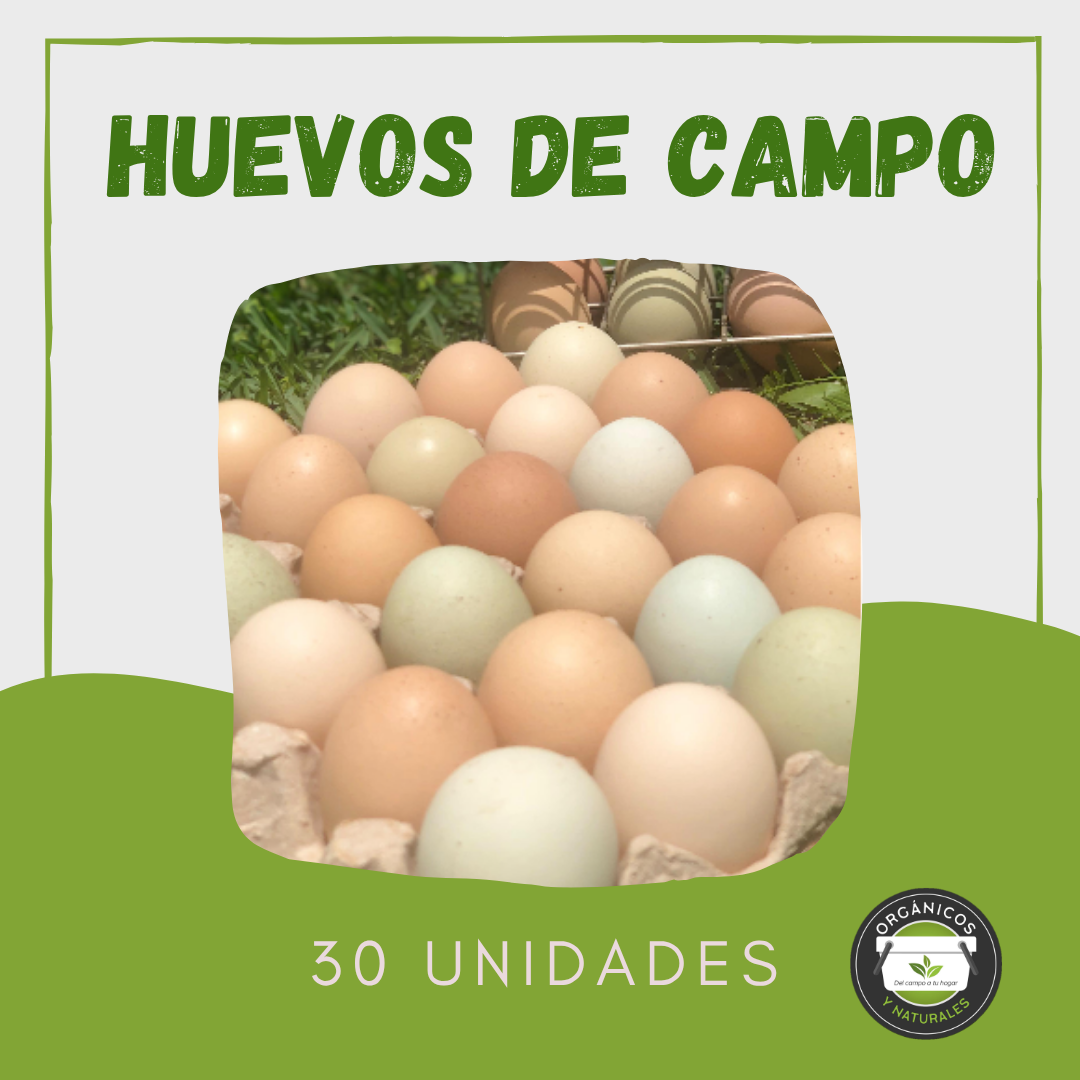 Huevos de Campo x 30 Unidades
