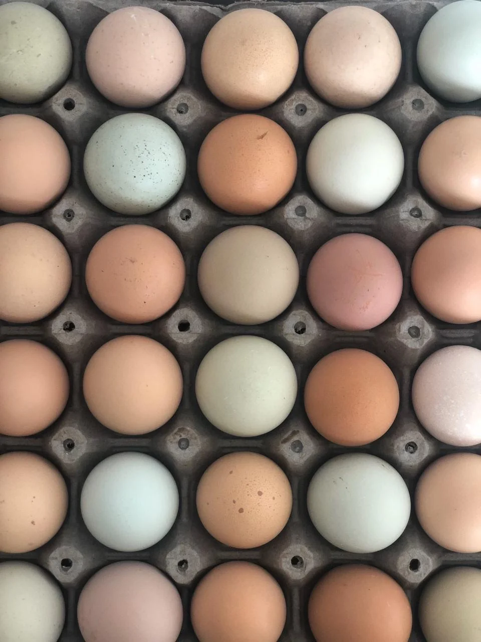 Huevos de Campo x 15 Unidades