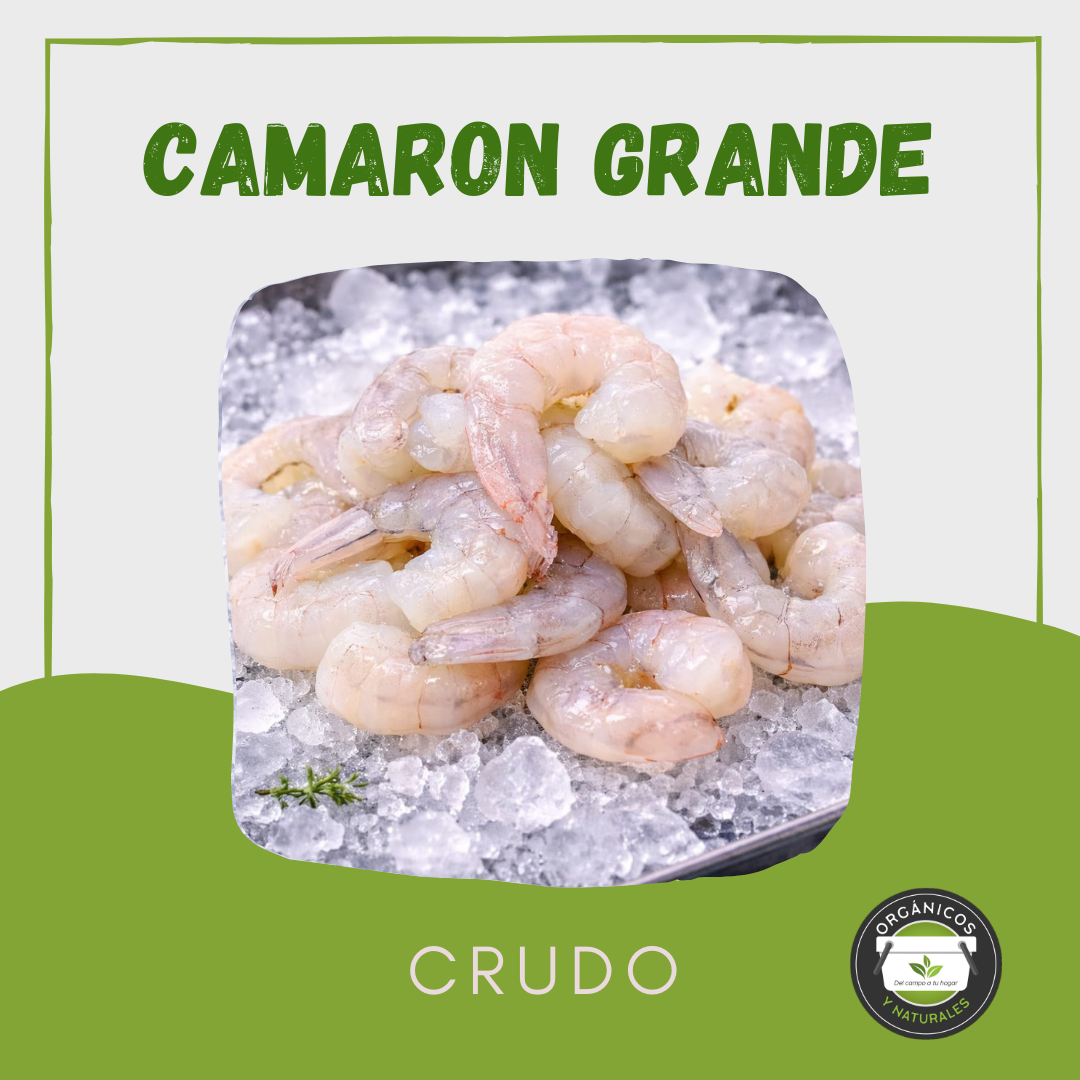 Camarón Grande