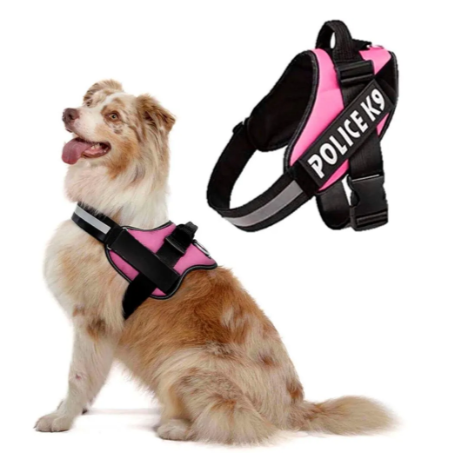 Pechera Police