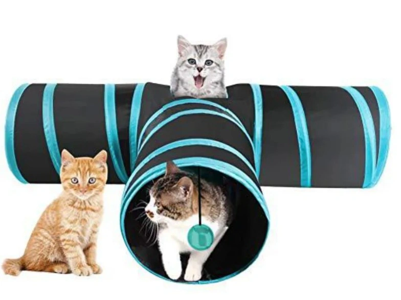 T�nel para gatos multidimensional