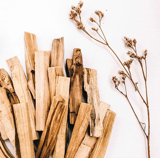 PALO SANTO