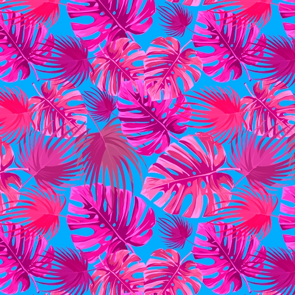 NC 002