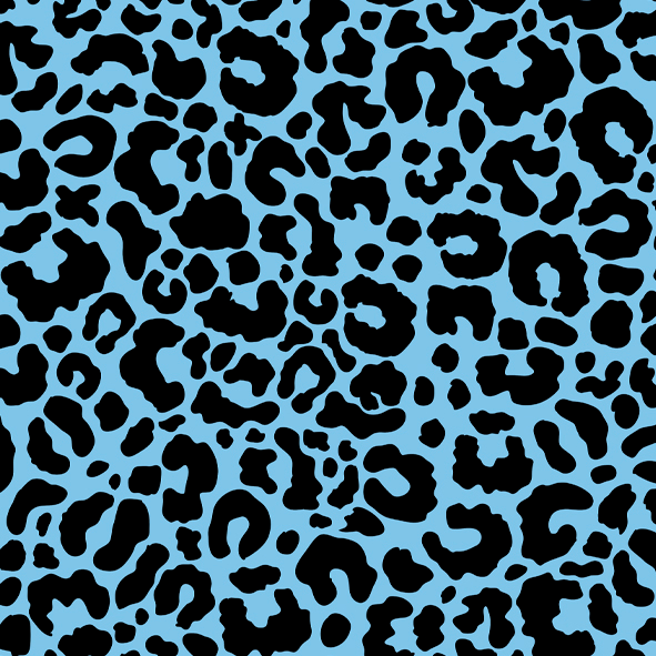 NC 062
