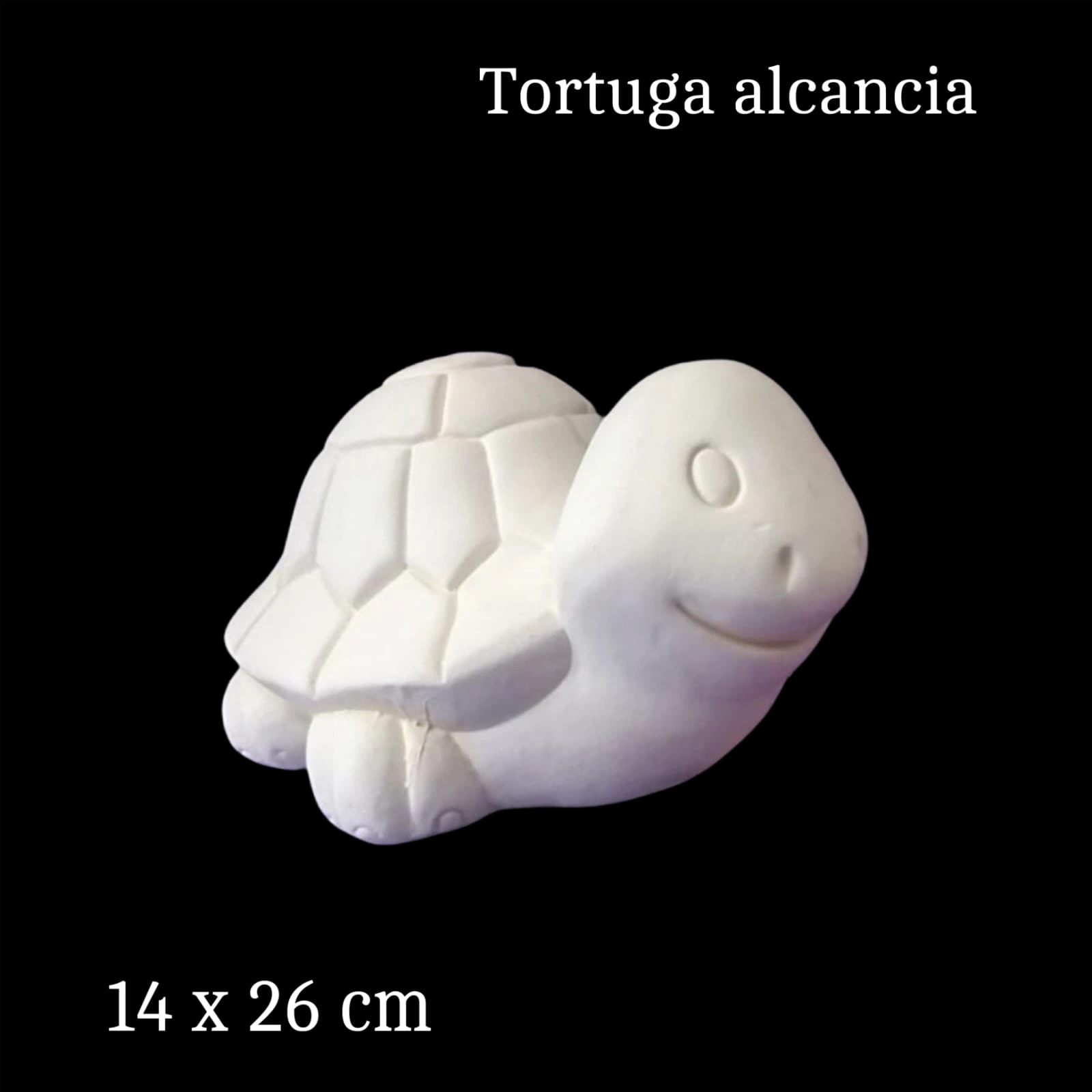 Tortuga alcancia