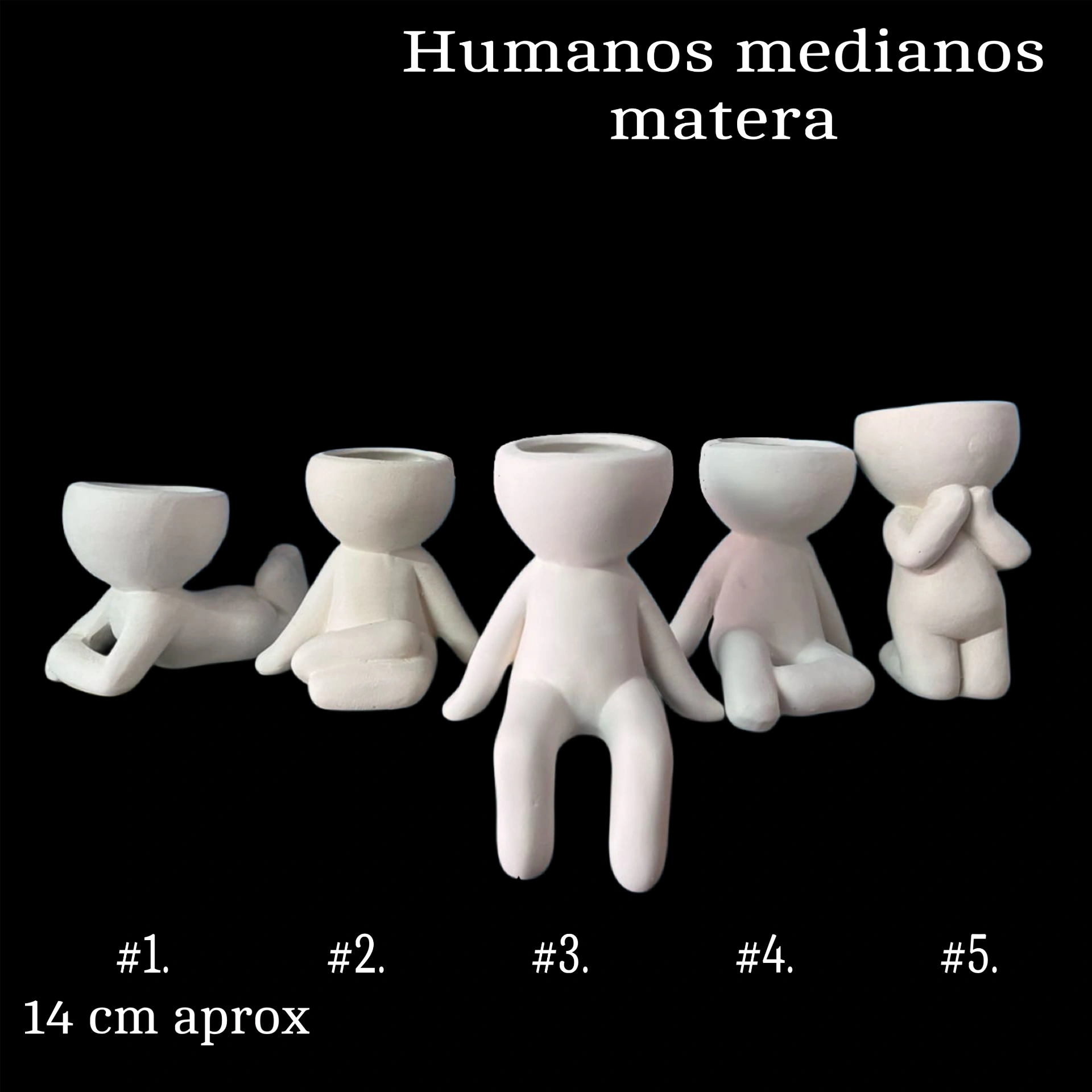 Humanos medianos matera x5