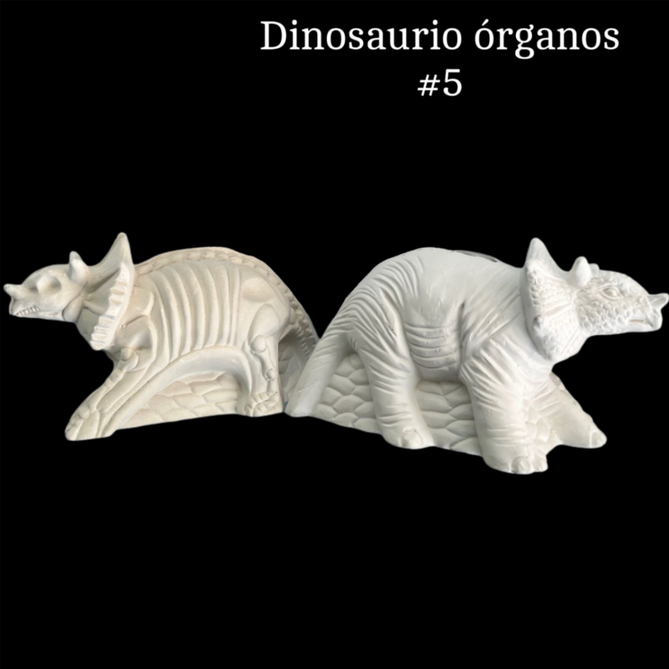 Dinosaurio órganos #5