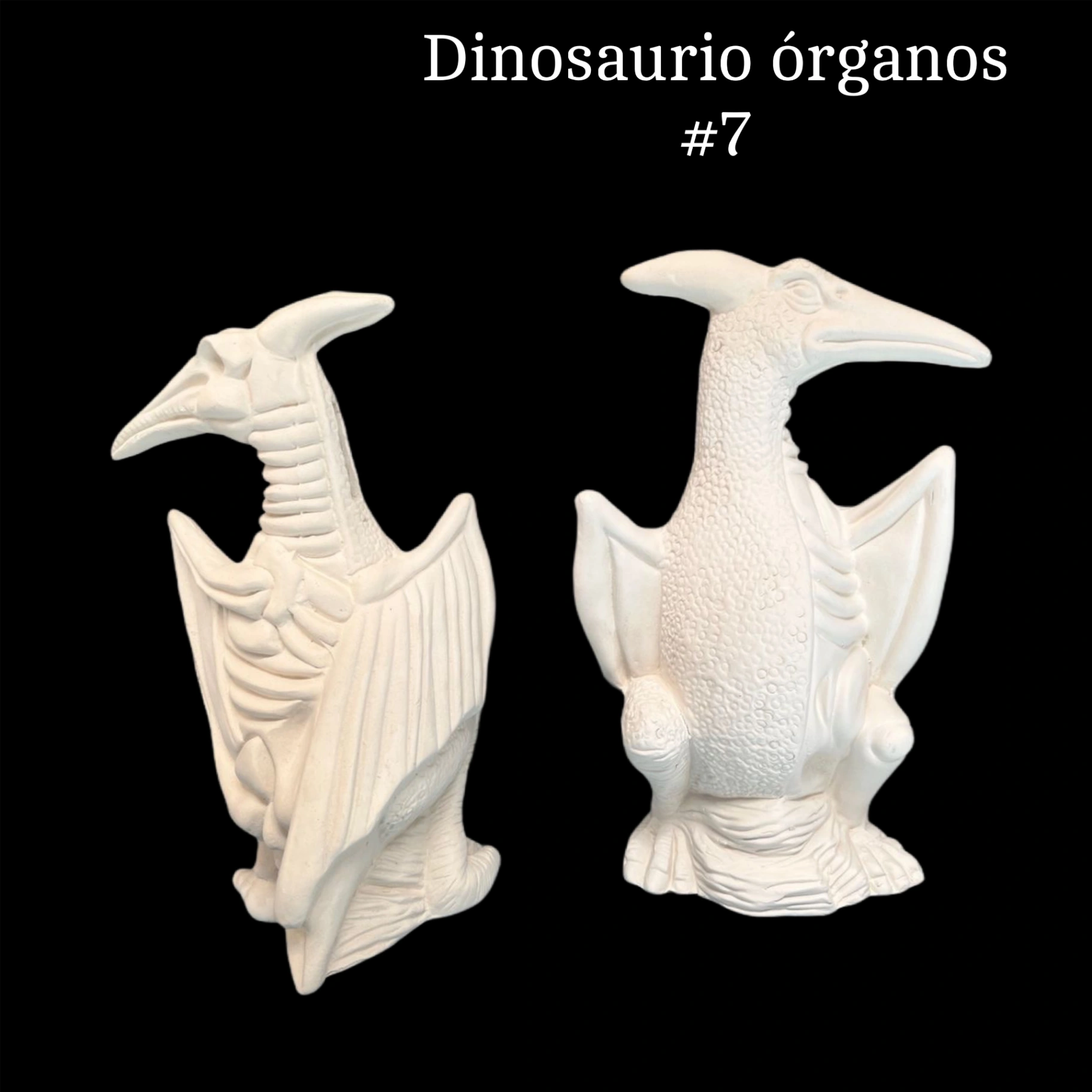 Dinosaurio organos #7