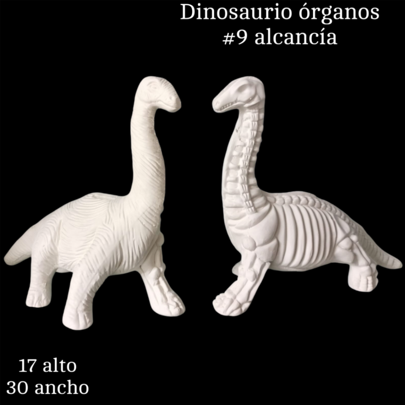 Dinosaurio órganos #9