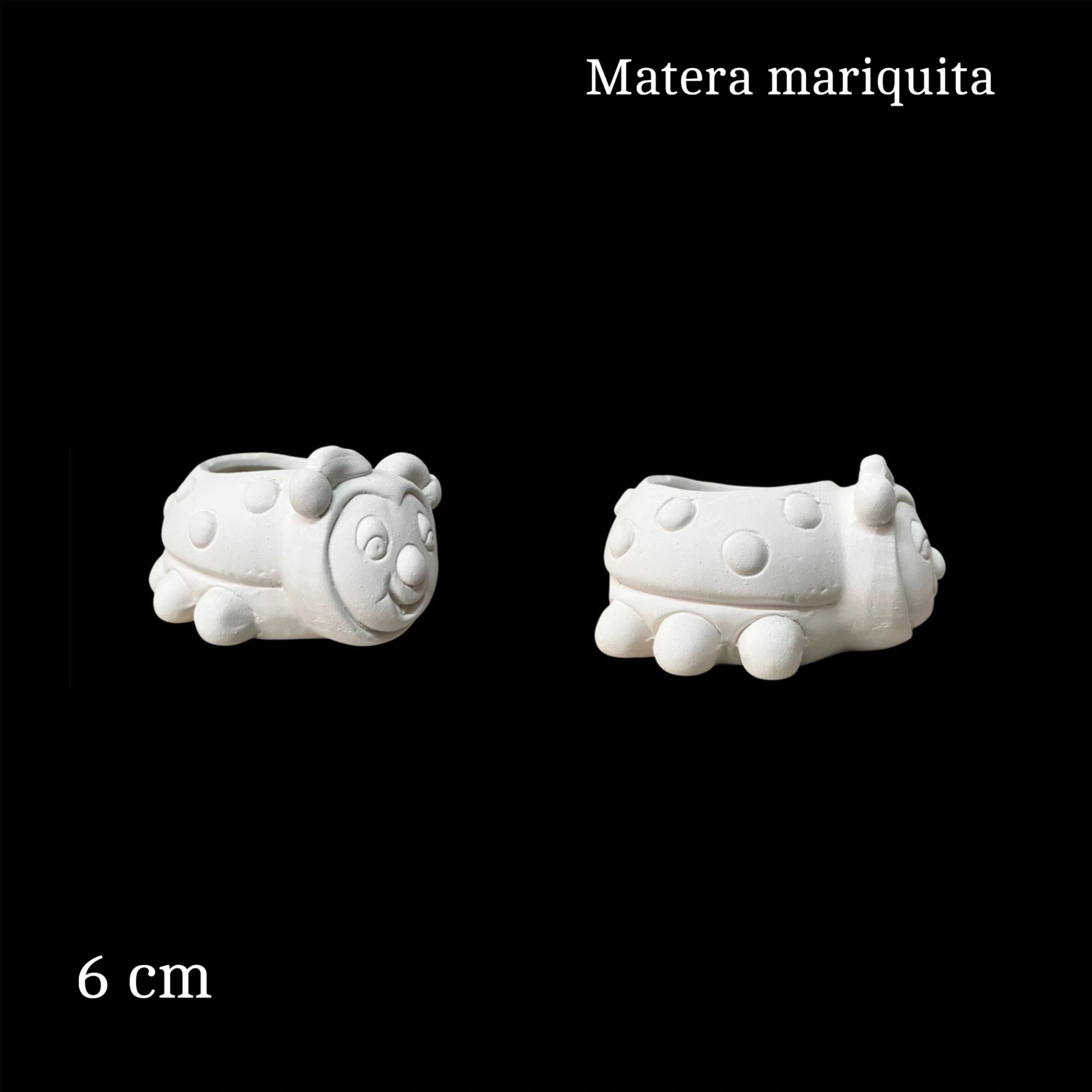 Matera mariquita