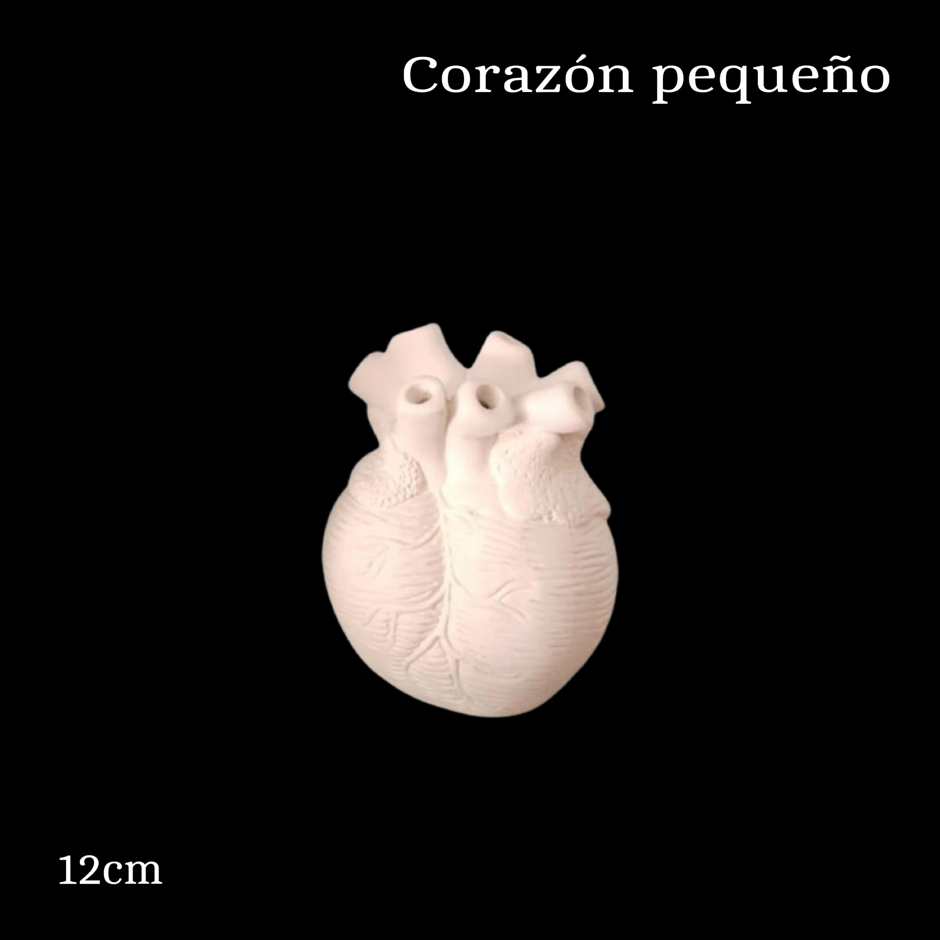 corazon pequeño