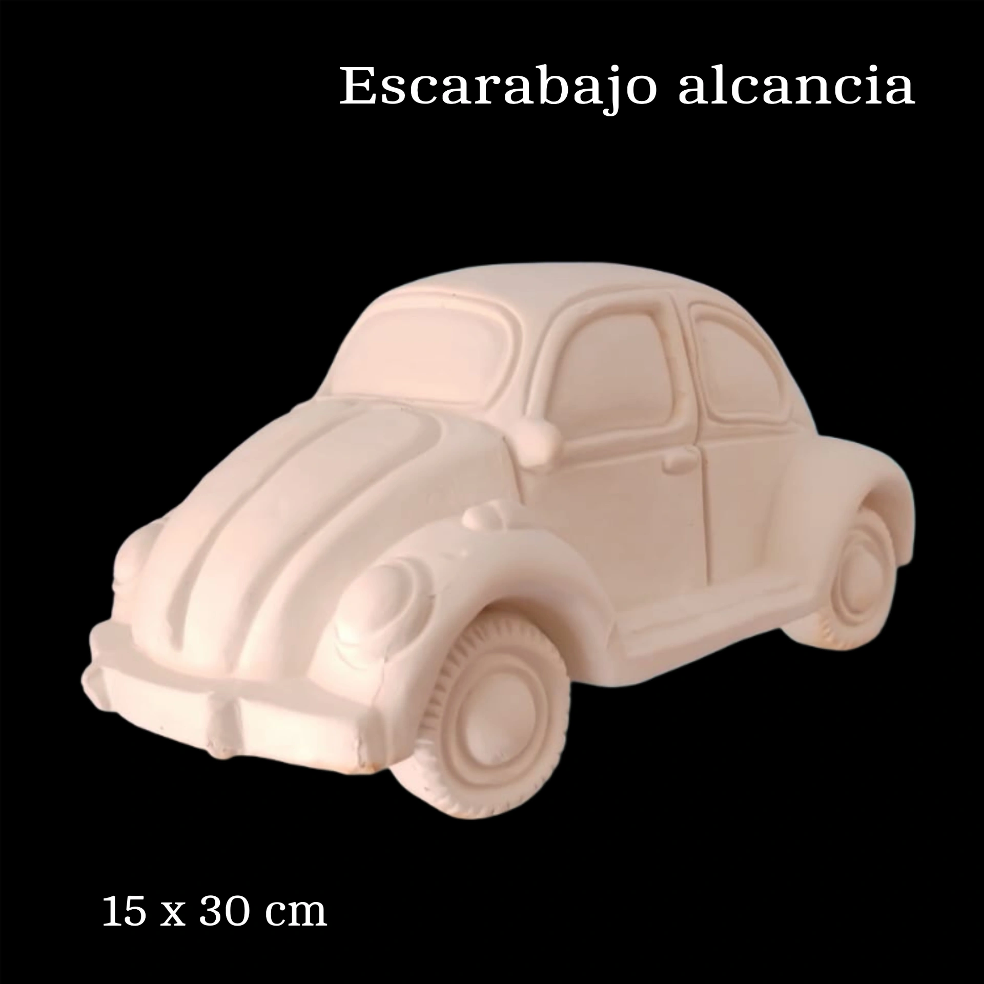 Escarabajo grande alcancia
