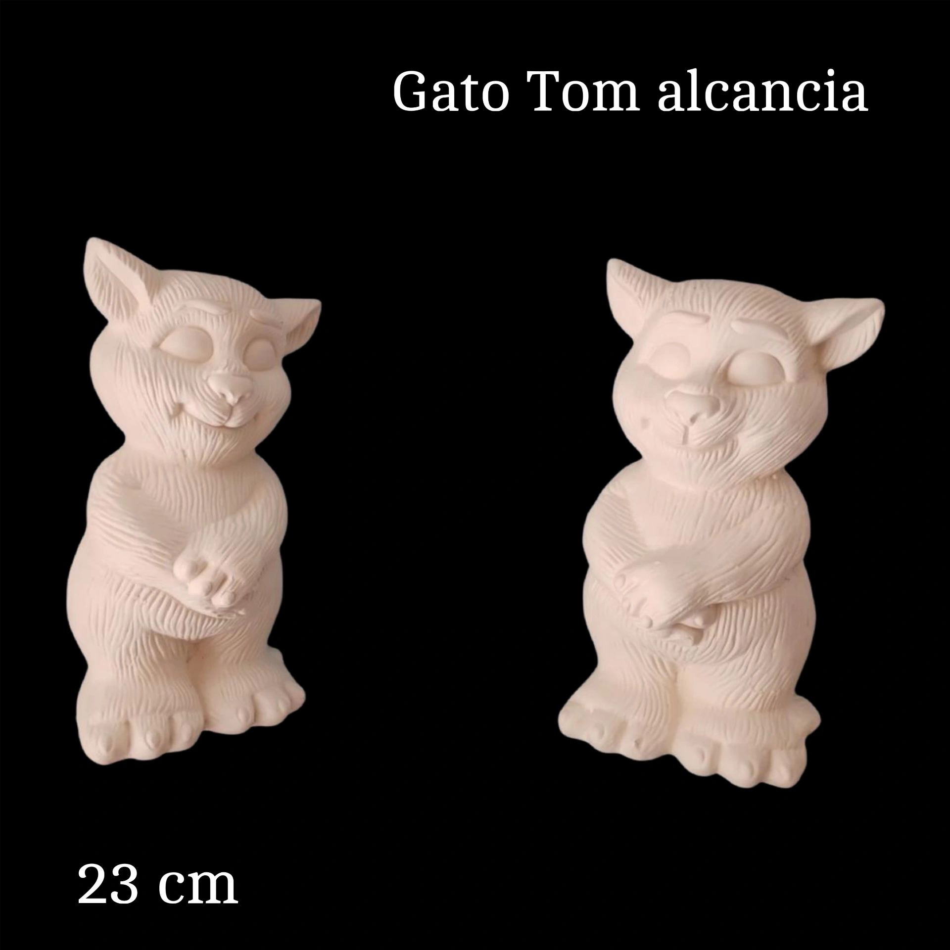 Gato tom alcancia