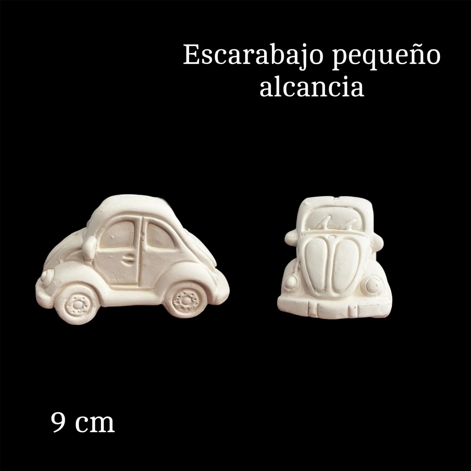 Escarabajo pequeño