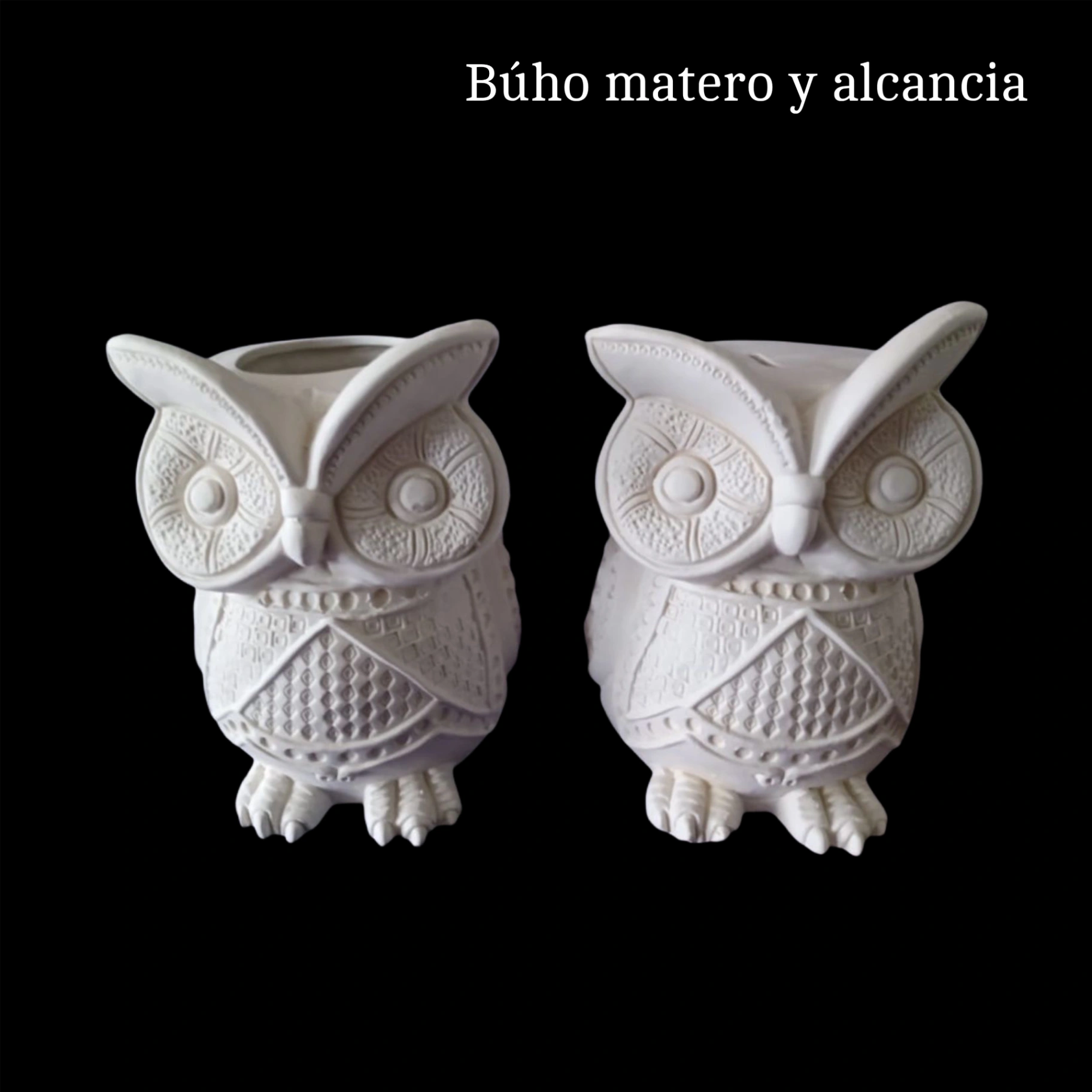 Buho matera o alcancia