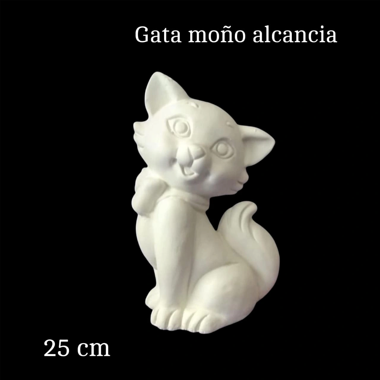 Gata moño alcancia