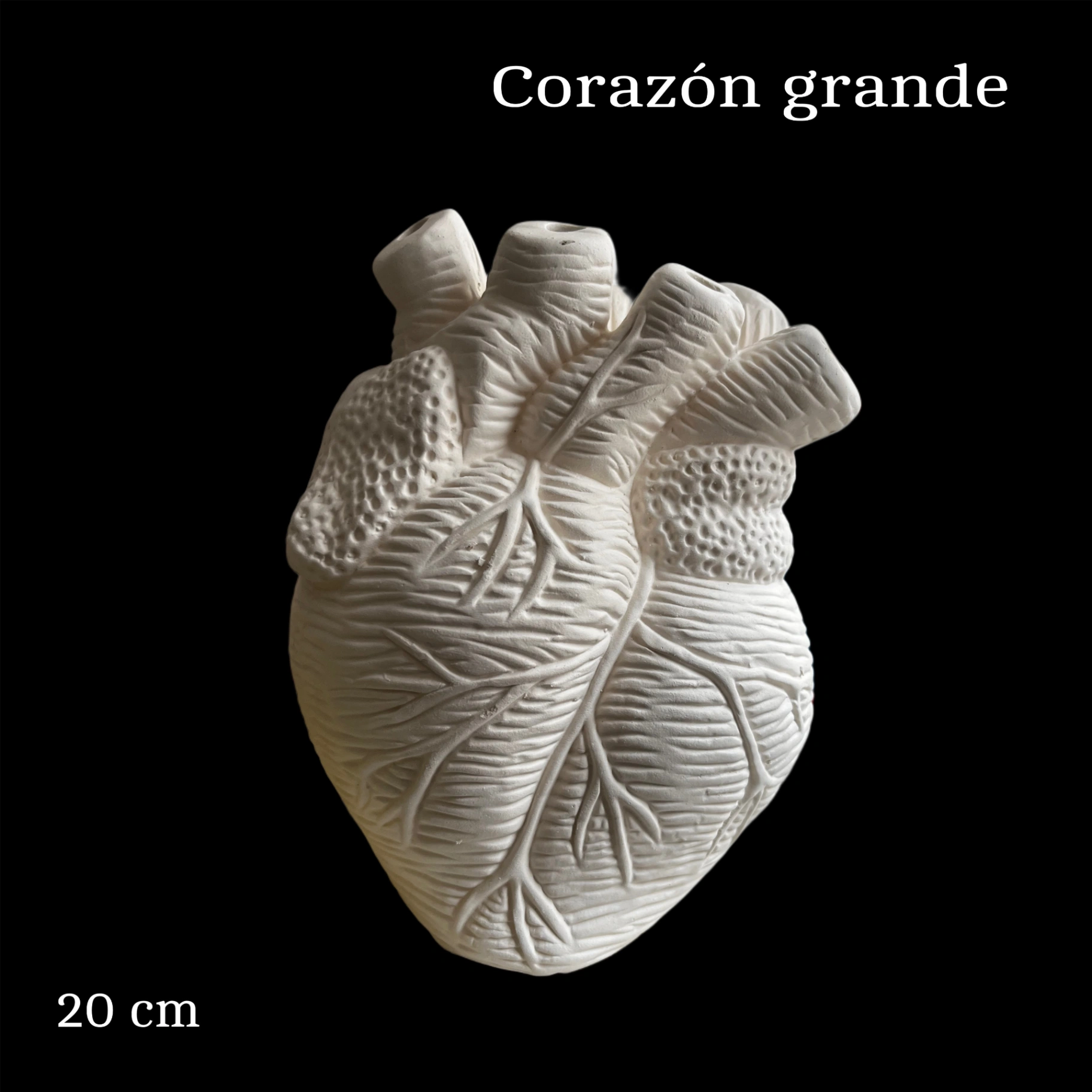 corazon grande