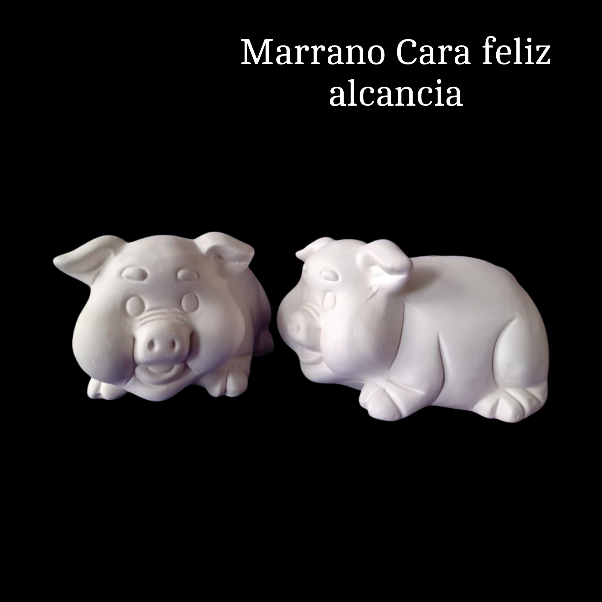 Marrano cara feliz alcancía
