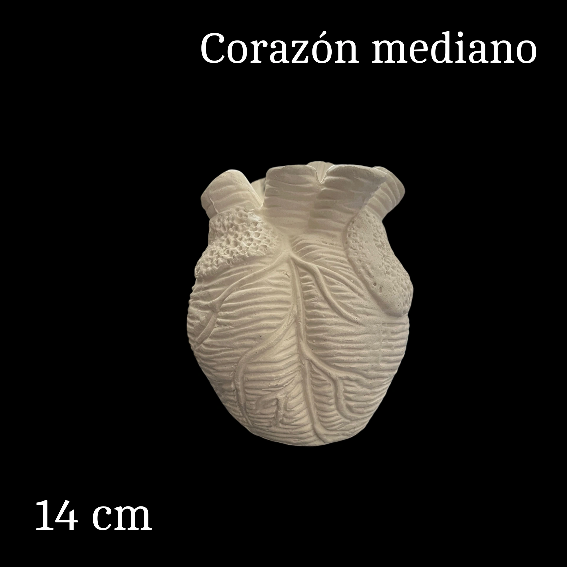 corazon mediano