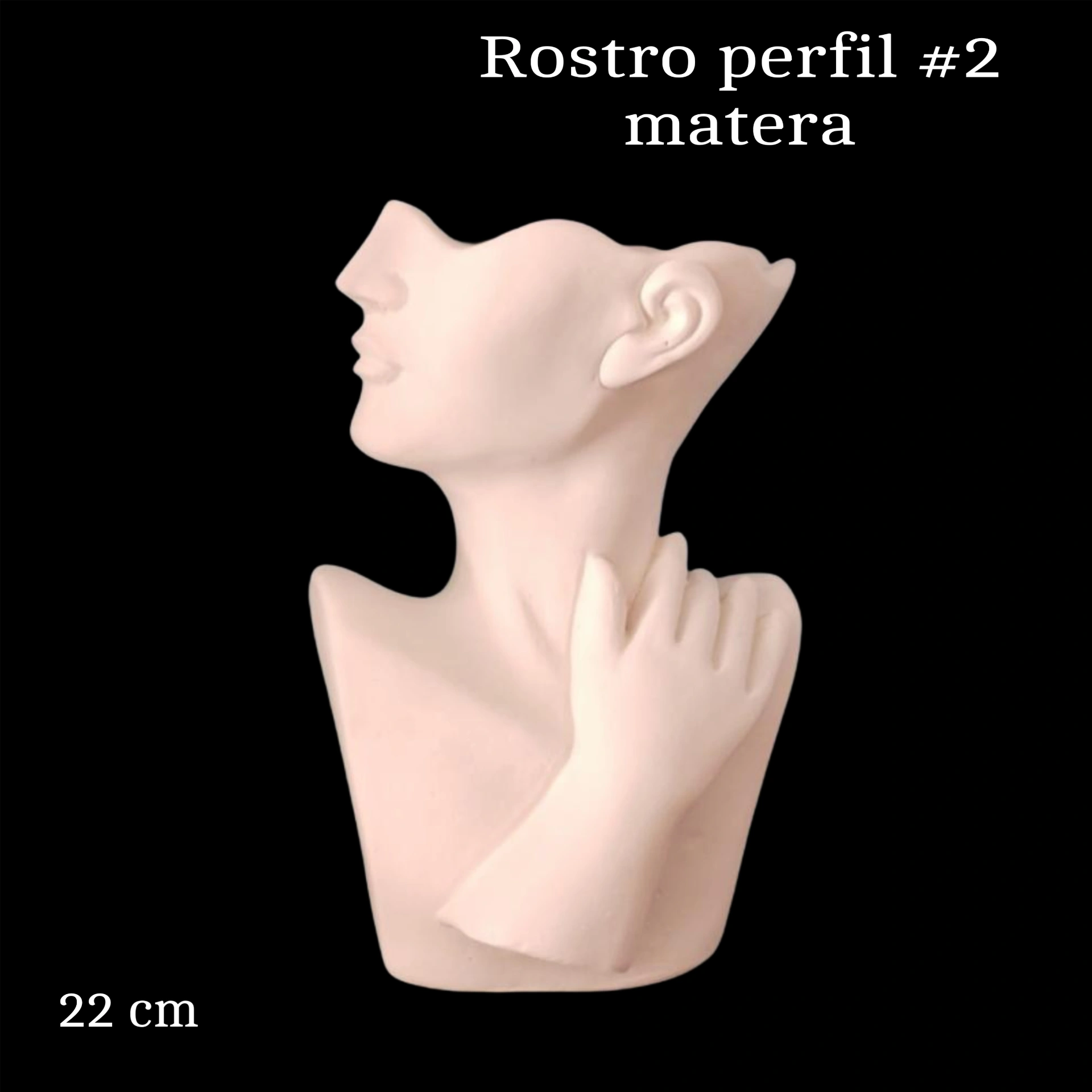 Rotro perfil #2
