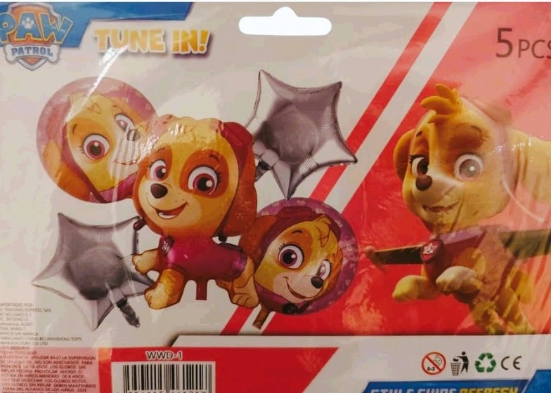 WWD-1 BOUQUET SKYE PAW PATROL