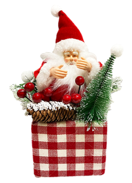 A-395 MUÑECO NAVIDEÑO 25*10CM