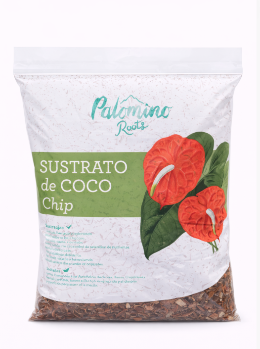 Chip de Coco x Bolsa