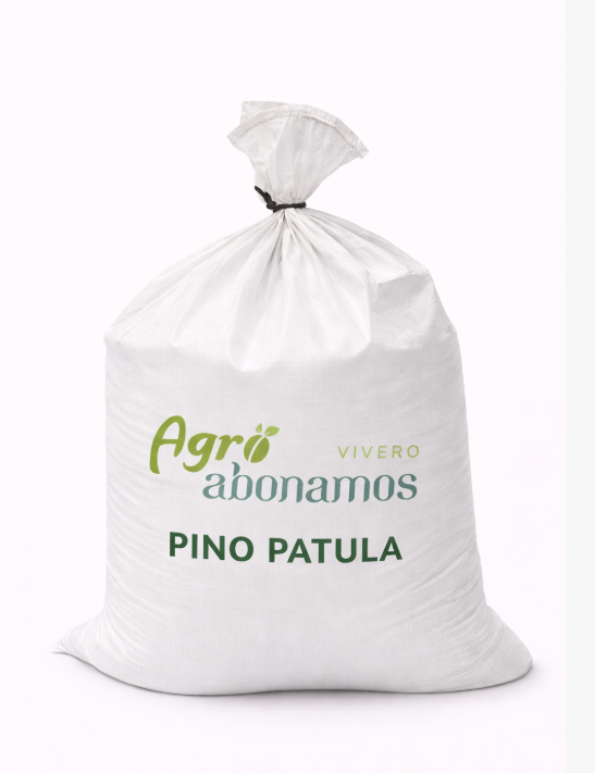 Bulto de Pino Patula