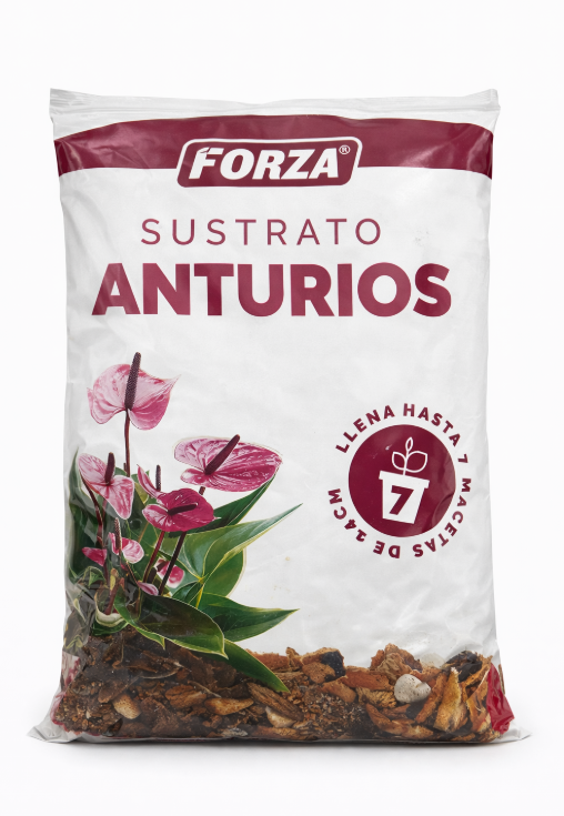 Sustrato Anturio
