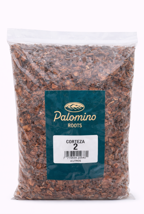 Pino Patula x Bolsa