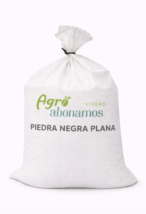 Bulto Piedra Negra Plana