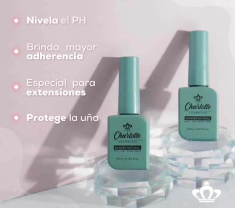 Bonder o primer *charlotte