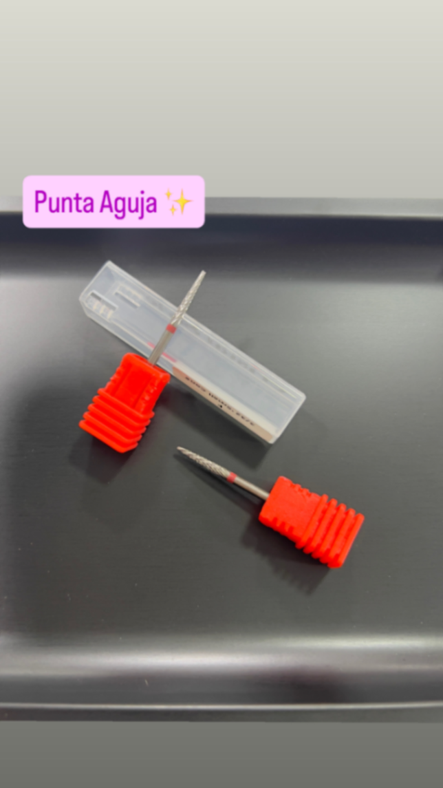 Punta de Aguja