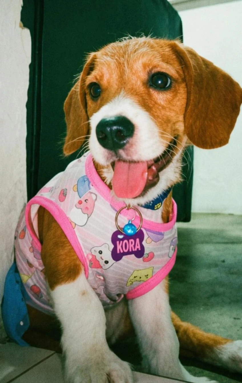 KORA