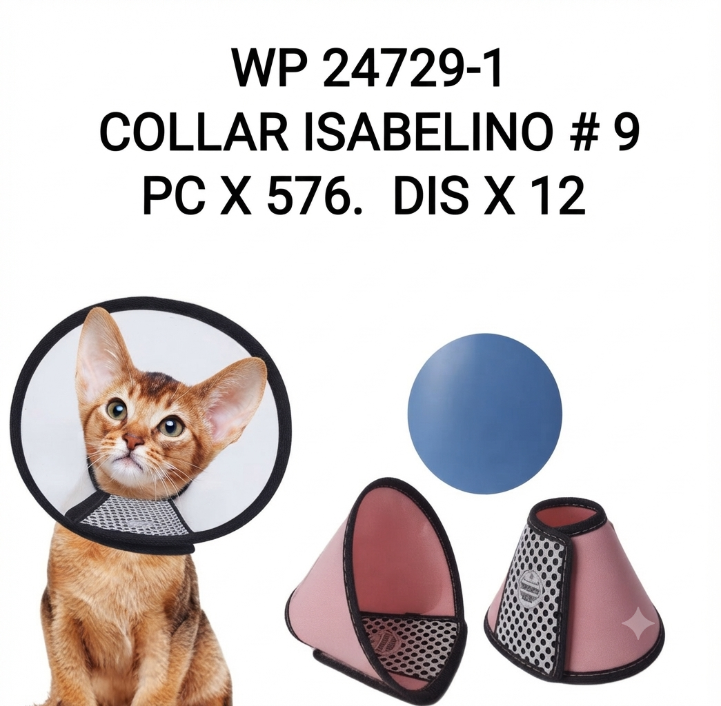 WP24729 CUELLO ISABELINO