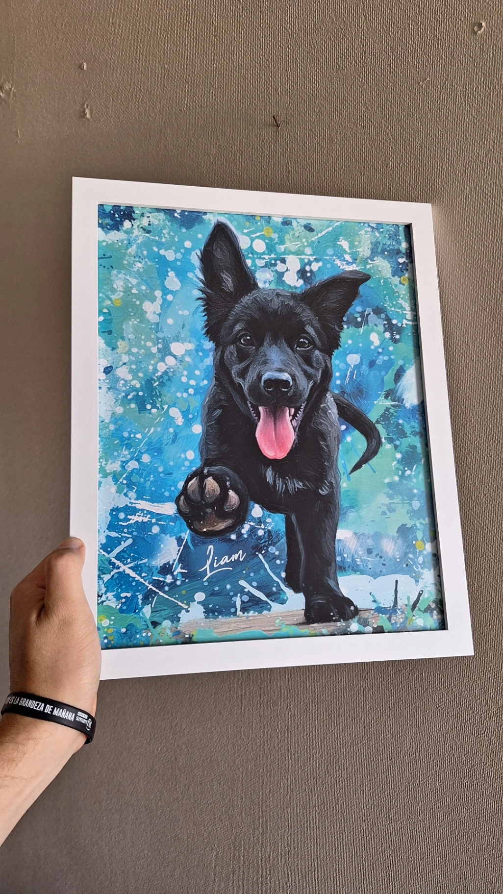 Cuadro Enmarcado 24x35