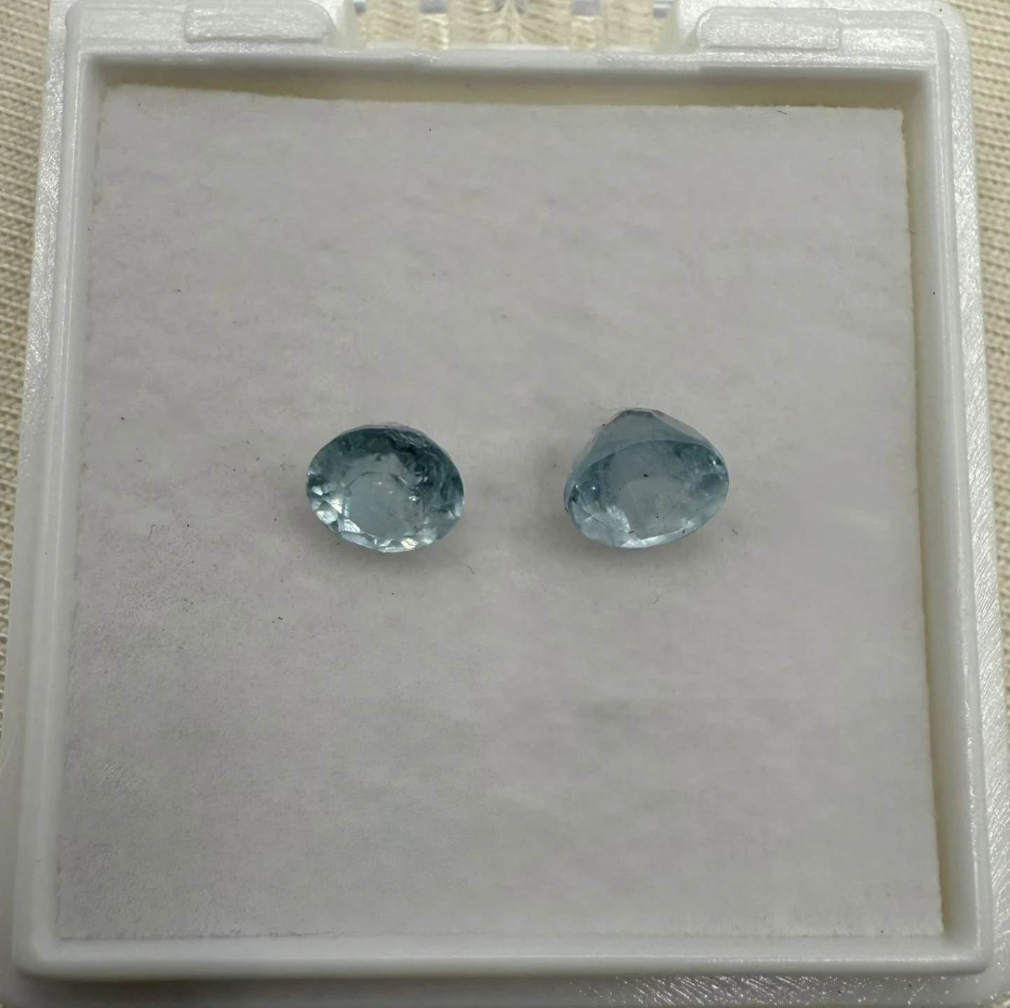 PAR EUCLASAS TALLA REDONDAS