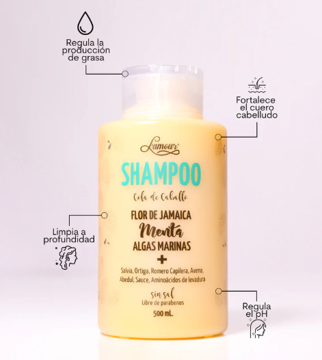 Shampoo Cola De Caballo L'amour