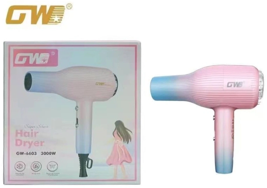 Secador Profesional GW6603
