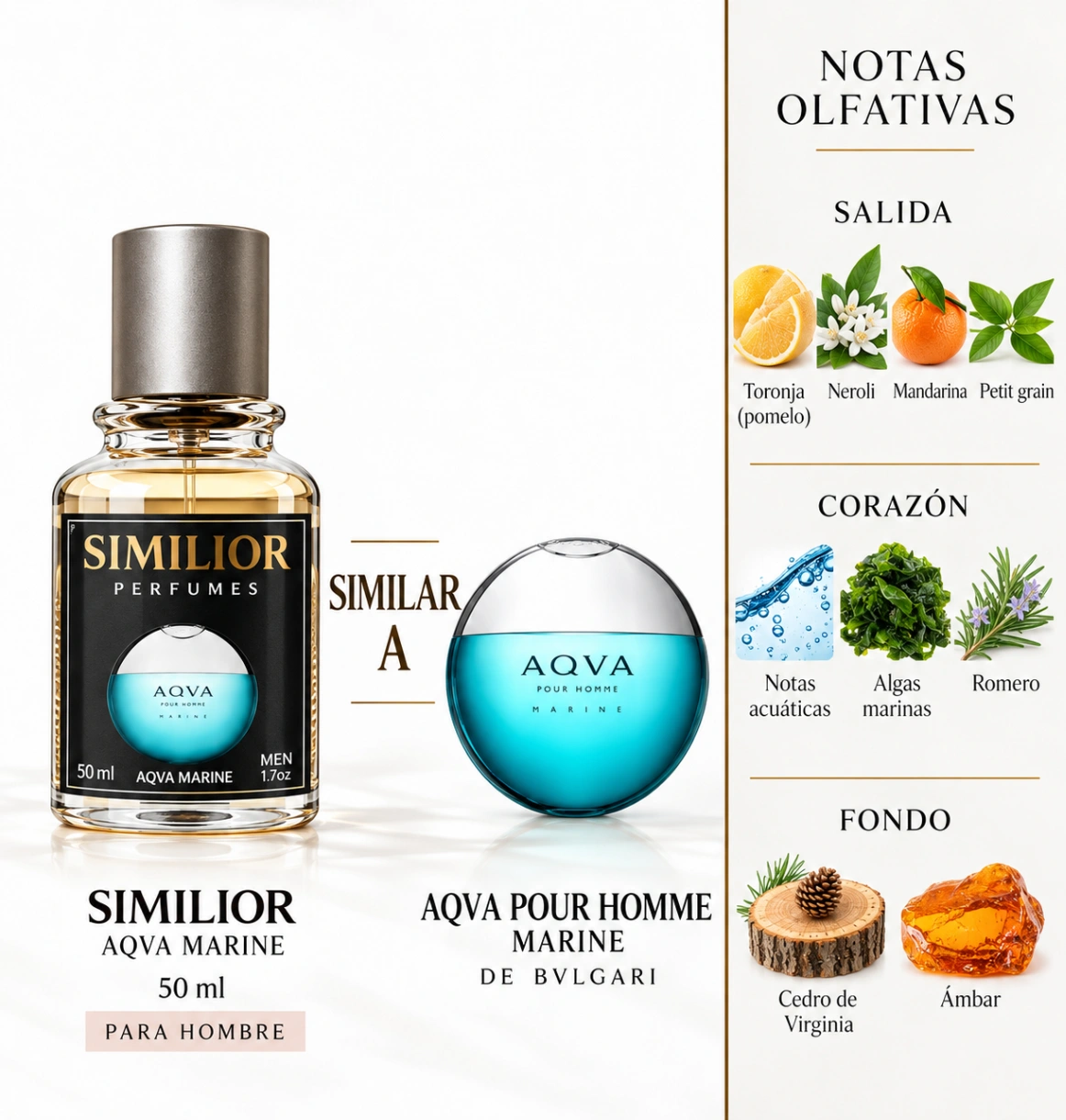 Aqva Pour Homme Marine Bvlgari para Hombres