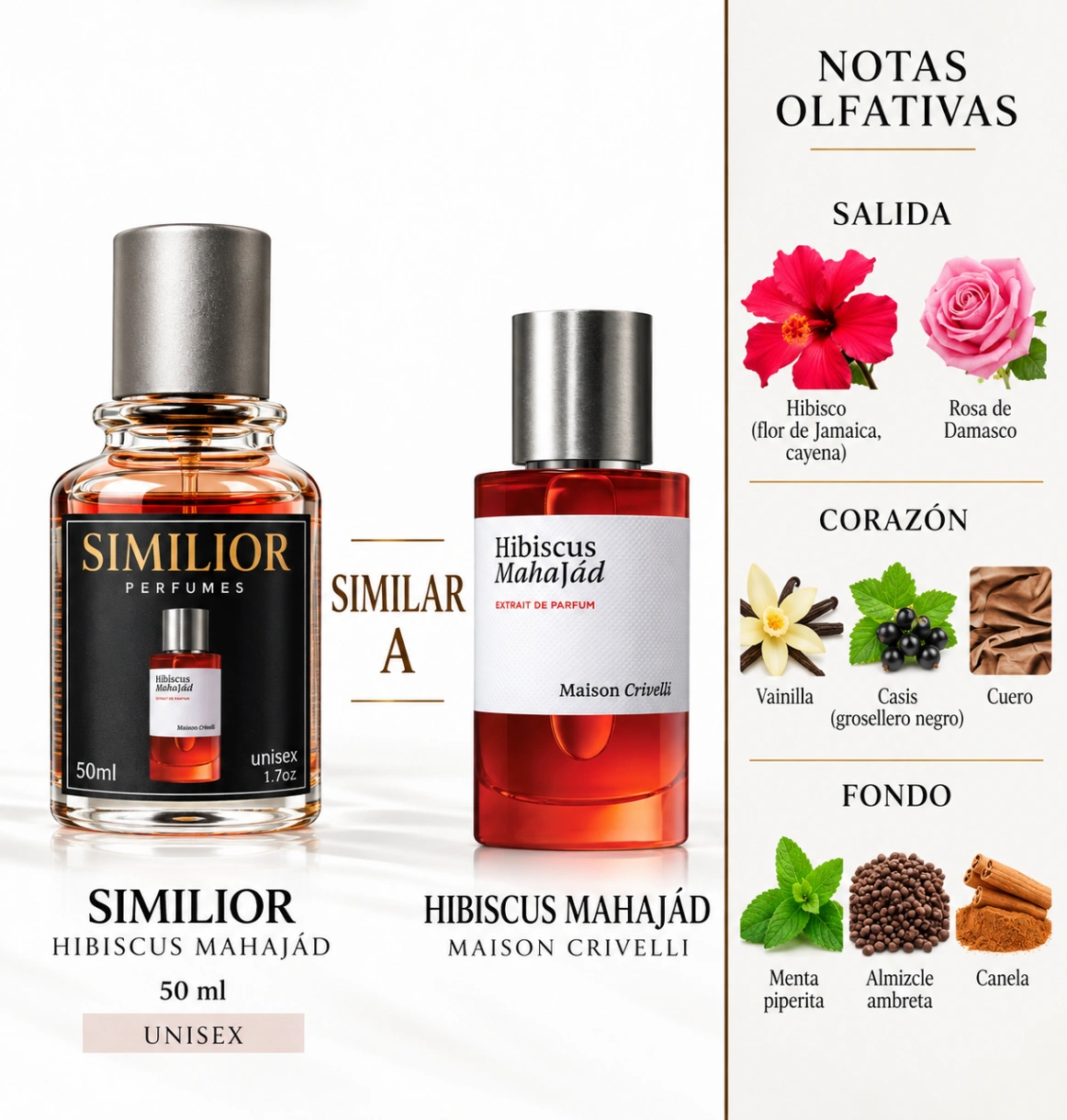 Hibiscus Mahajád Maison Crivelli para Hombres y Mujeres