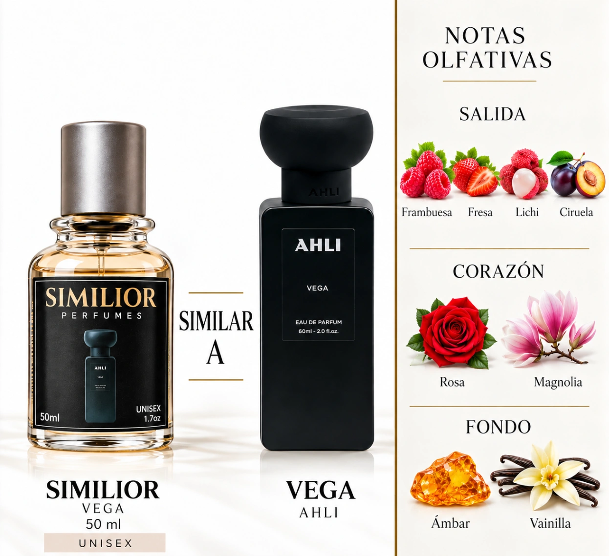VEGA Ahli para hombres y mujeres