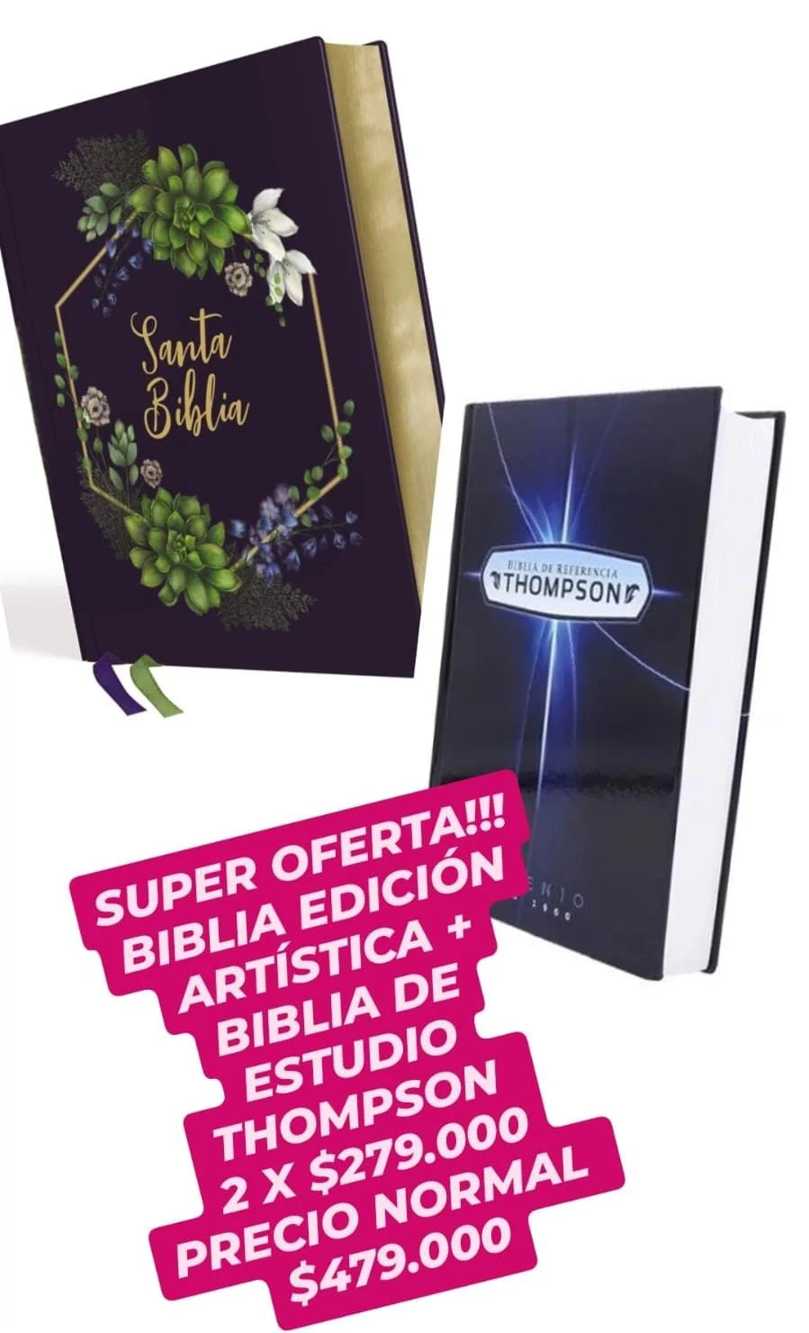 OFERTA BIBLIA EDICIÓN ARTÍSTICA + BIBLIA DE ESTUDIO THOMPSON