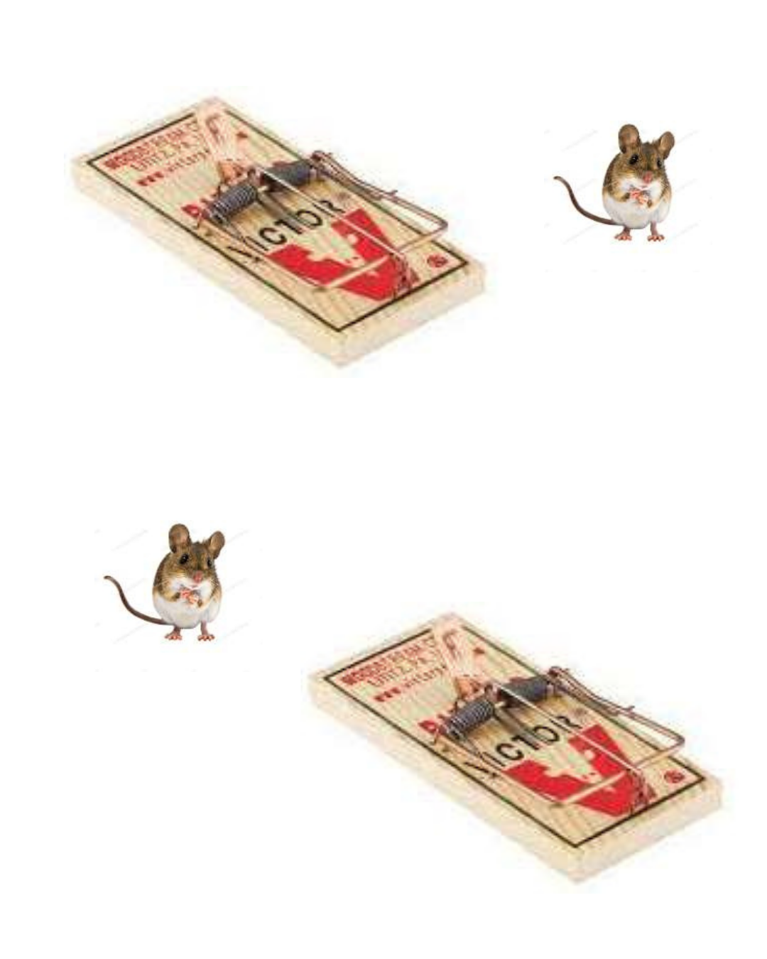 TRAMPA RATON PEQUENA