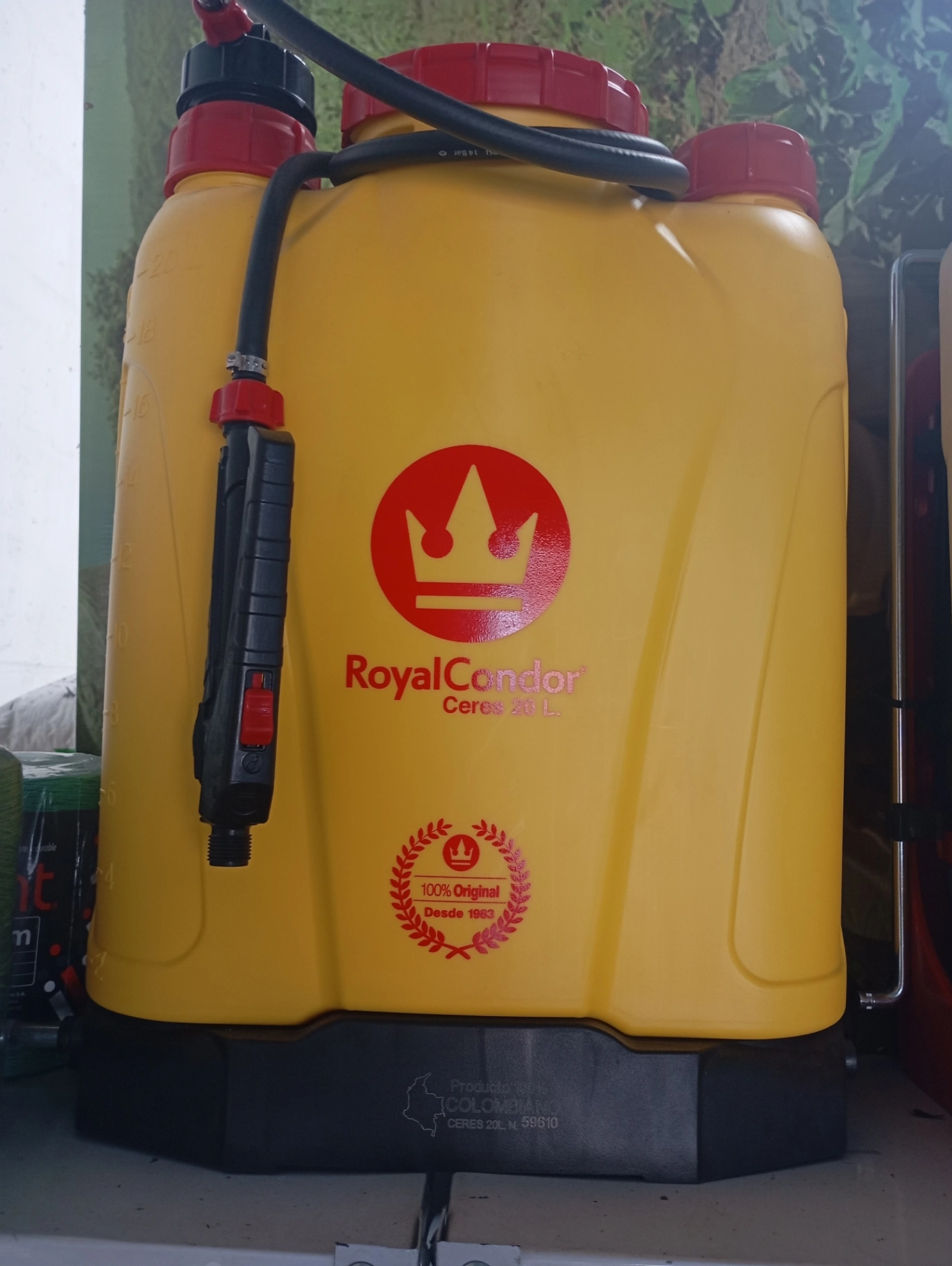 Royal Cóndor Ceres