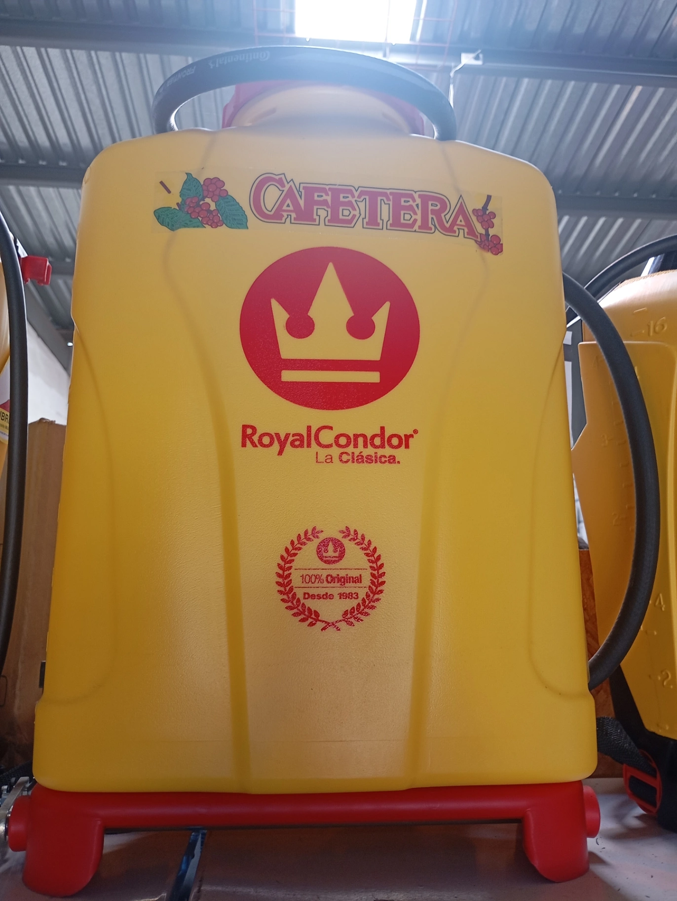 Royal Cóndor Clasica