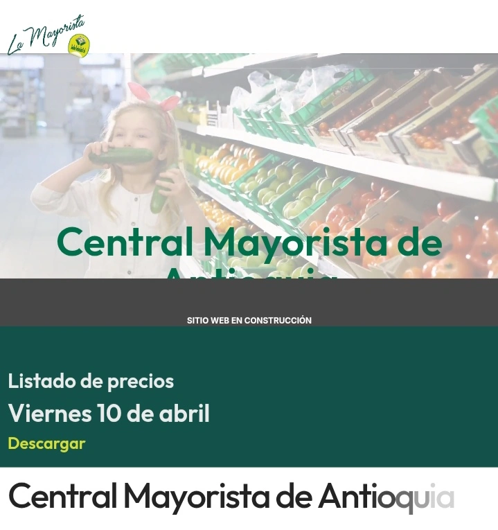 La Mayorista Medellin
