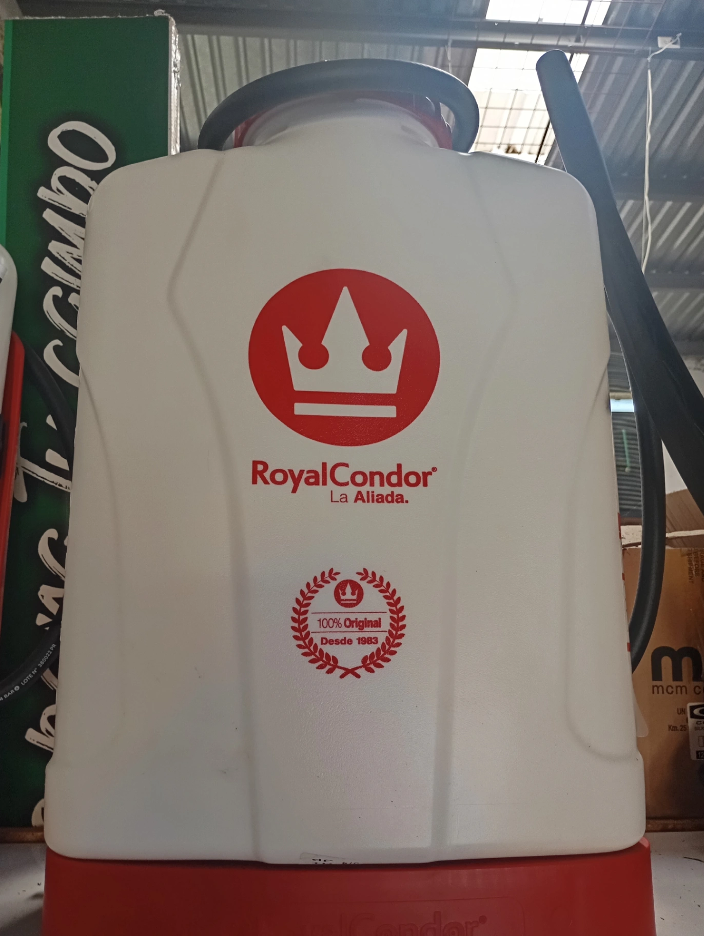 Royal Cóndor Aliada