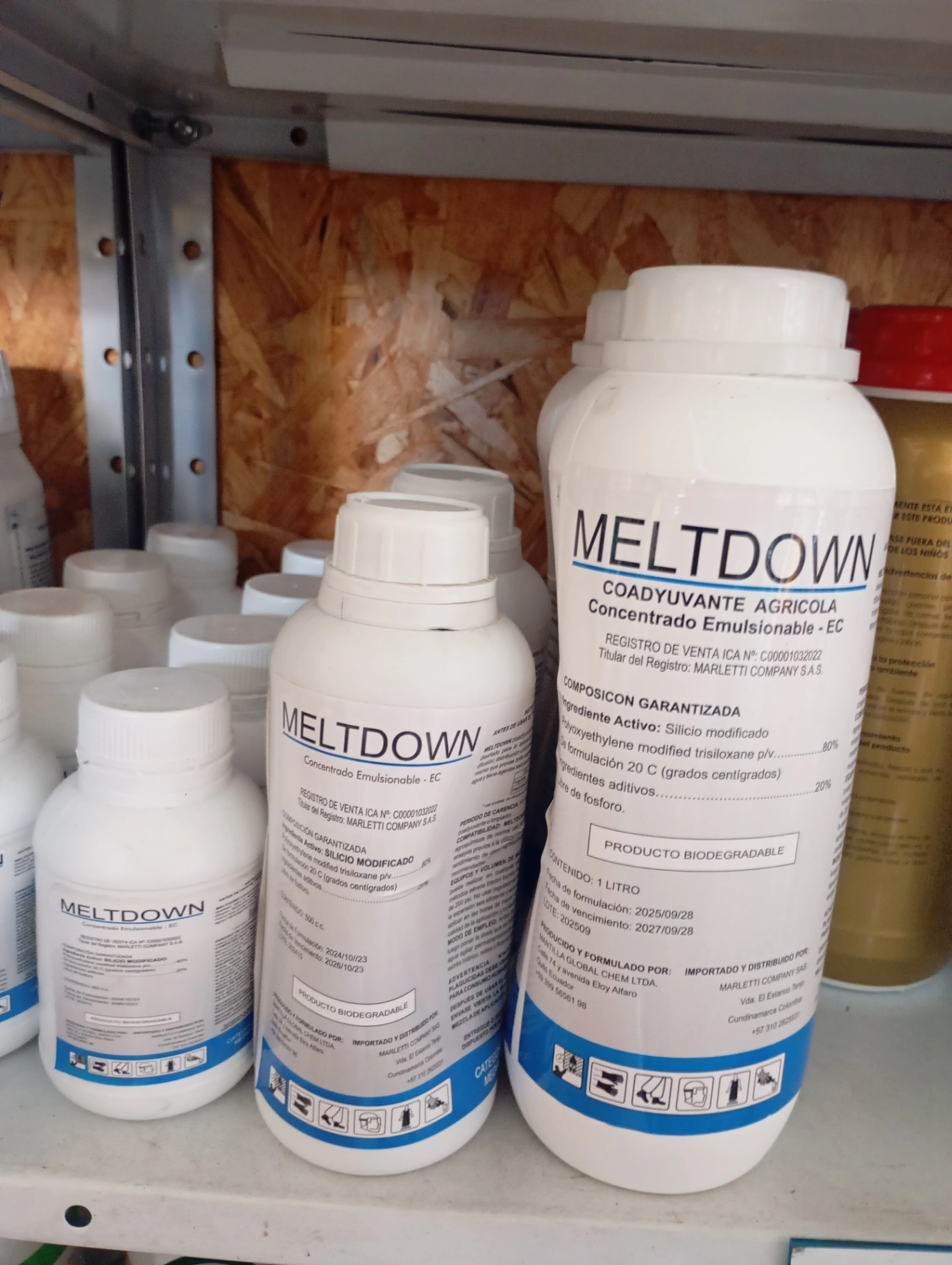 Meltdown Lt